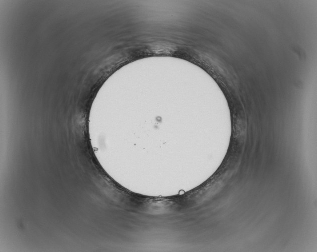 X0000111210321200907291257