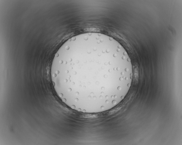 X0000111210322200907291257