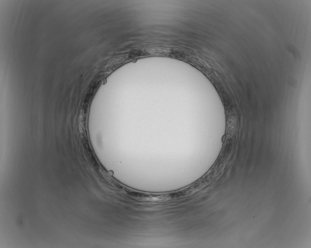 X0000111210323200907291257