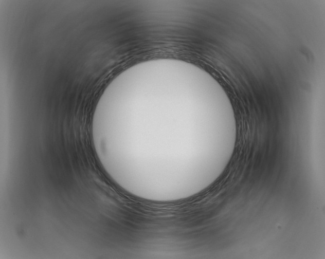 X0000111210324200907291257