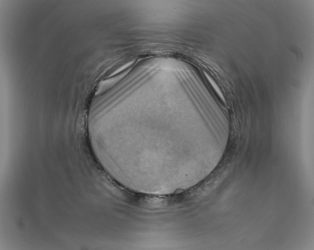 X0000111210325200907291257