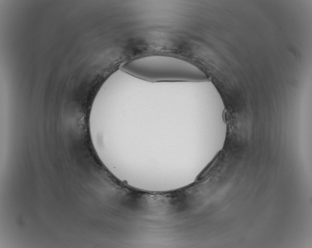 X0000111210327200907291257