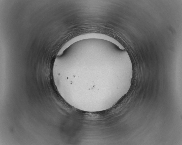 X0000111210328200907291256