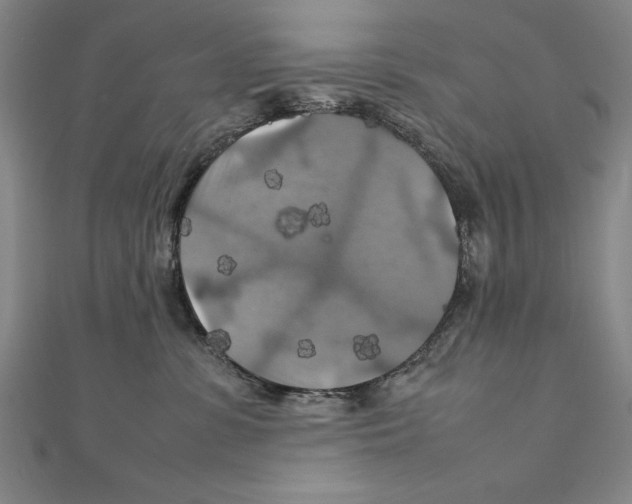 X0000111210331200907291256