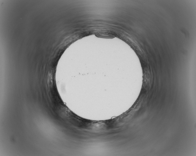 X0000111210333200907291256