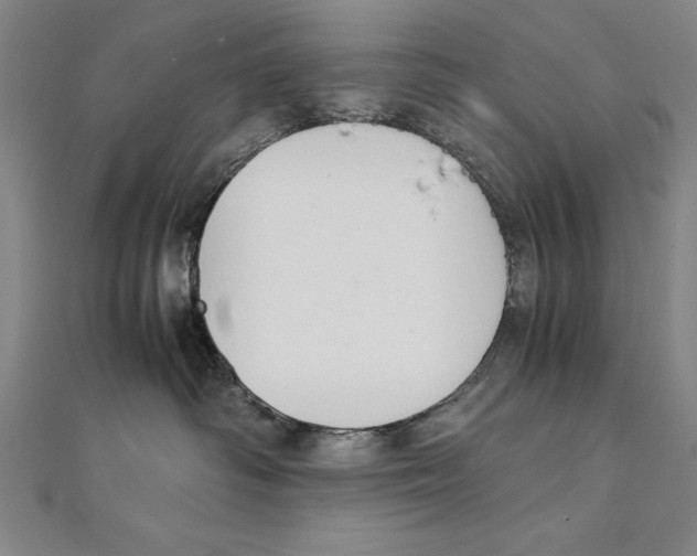 X0000111210334200907291256