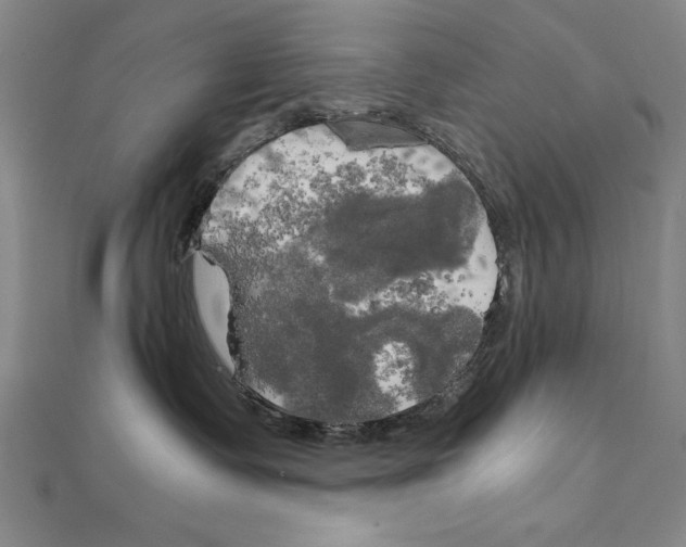 X0000111210335200907291256