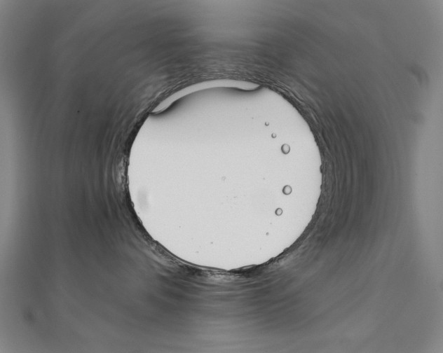 X0000111210336200907291256