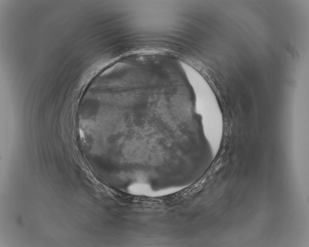 X0000111210337200907291256