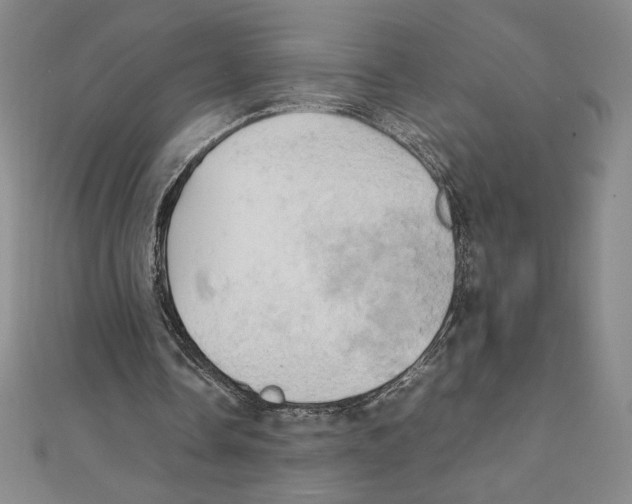 X0000111210338200907291256