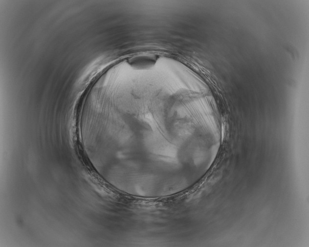 X0000111210339200907291256