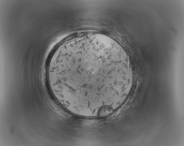 X0000111210342200907291256