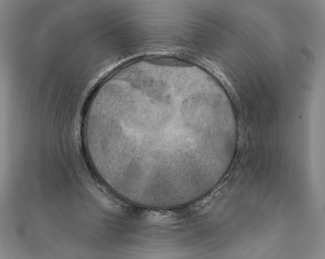 X0000111210346200907291256