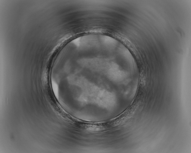 X0000111210347200907291256