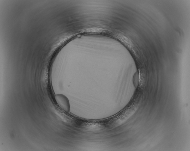 X0000111210348200907291256