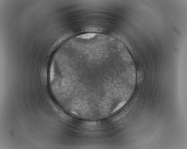 X0000111210349200907291256