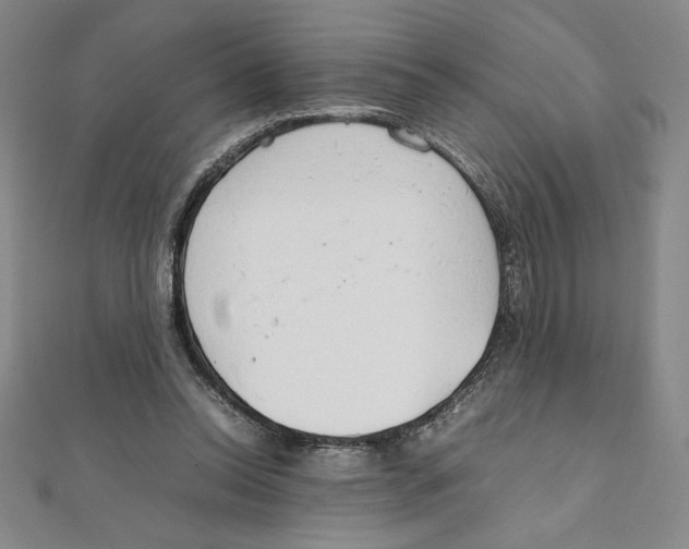 X0000111210350200907291256