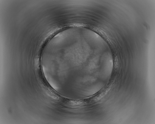 X0000111210351200907291256