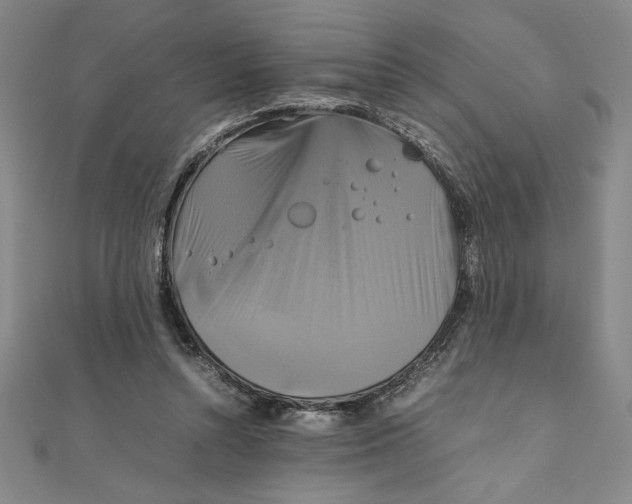 X0000111210352200907291256