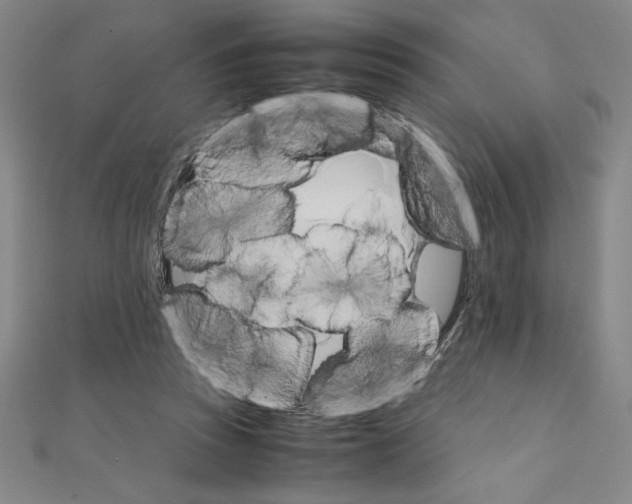 X0000111210353200907291256