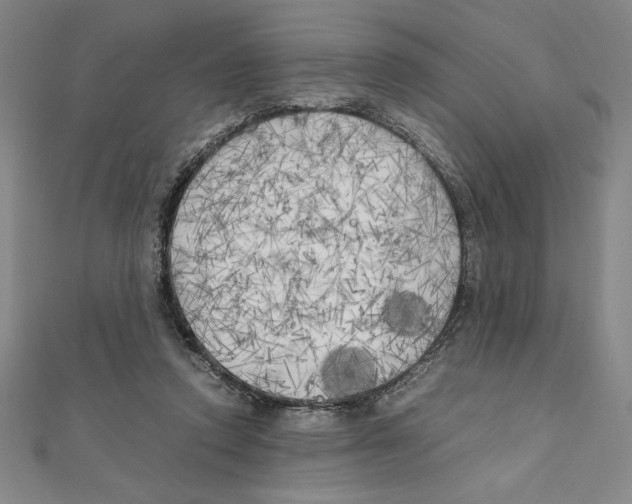 X0000111210354200907291256