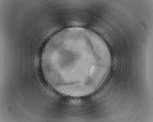 X0000111210355200907291256