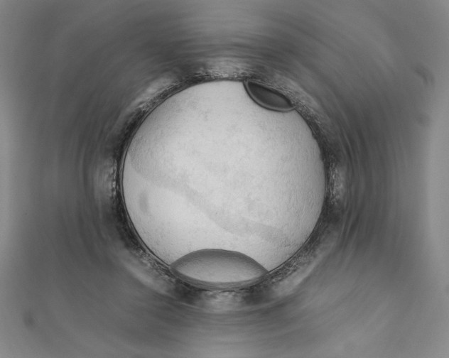 X0000111210356200907291256