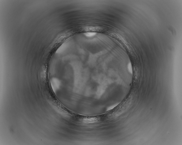 X0000111210357200907291256