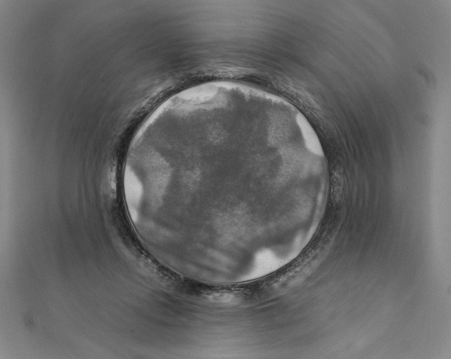 X0000111210358200907291256