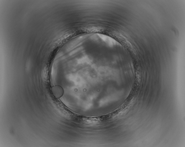 X0000111210359200907291256