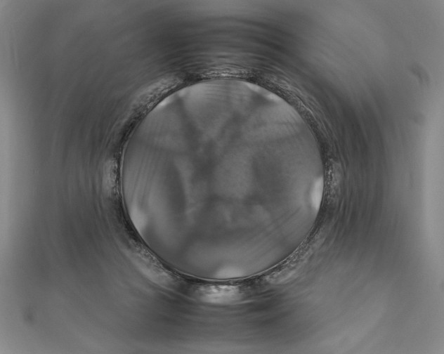 X0000111210361200907291256