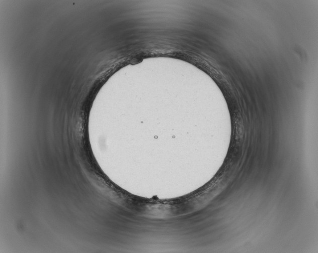 X0000111210362200907291256