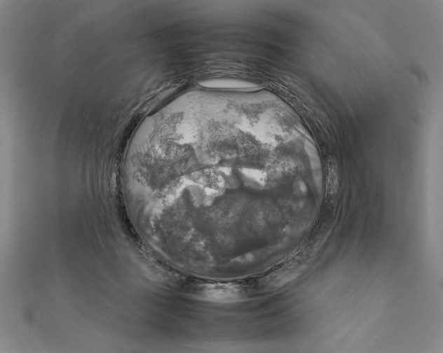 X0000111210363200907291256