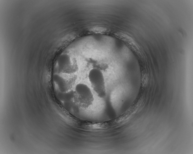 X0000111210365200907291256