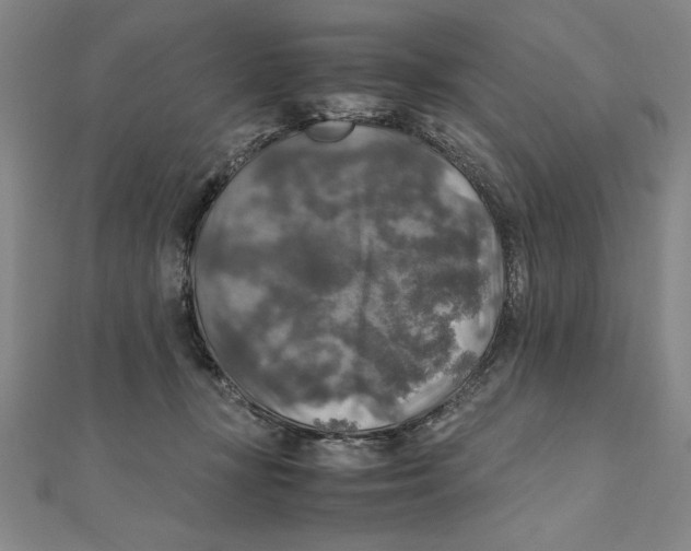 X0000111210367200907291256