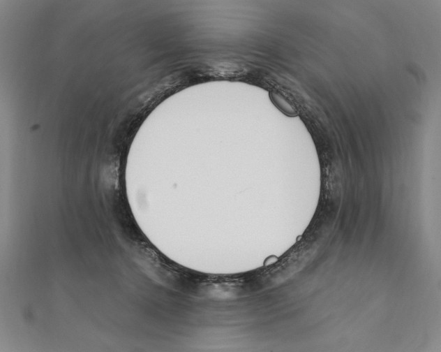 X0000111210368200907291256