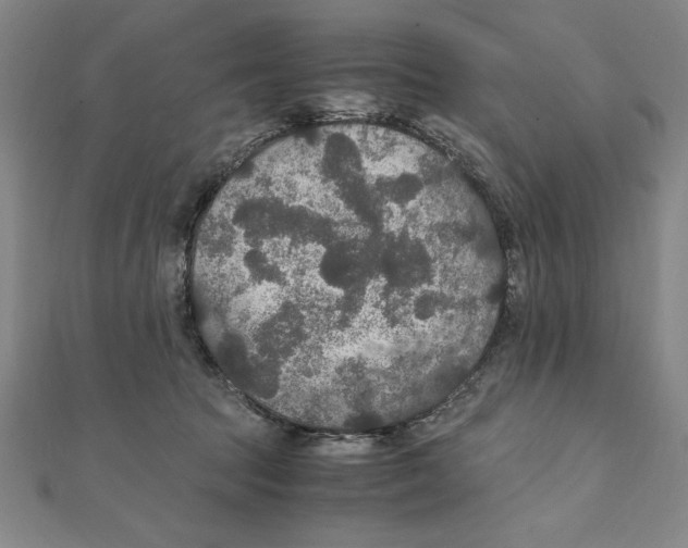 X0000111210369200907291256