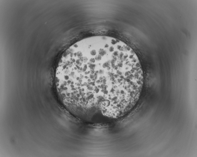 X0000111210370200907291256