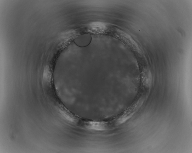 X0000111210371200907291256