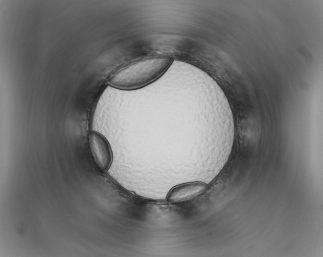 X0000111210372200907291256