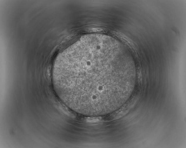 X0000111210373200907291256