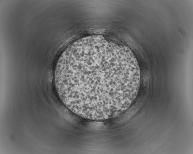 X0000111210374200907291256