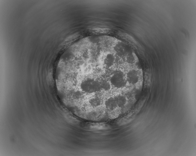 X0000111210377200907291256