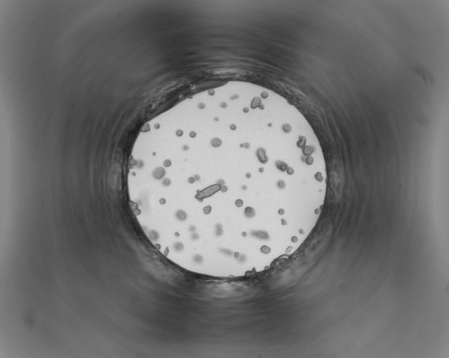 X0000111210379200907291256