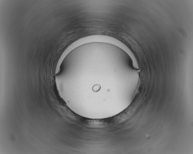 X0000111210380200907291256