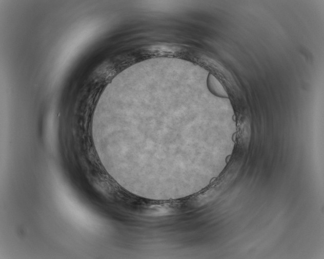 X0000111210381200907291256