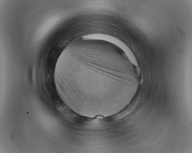 X0000111210382200907291256