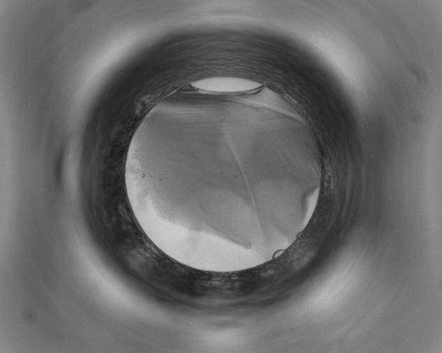 X0000111210383200907291256