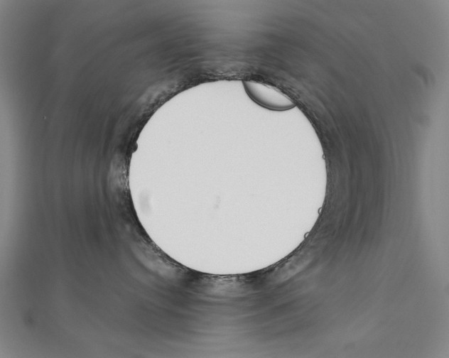 X0000111210384200907291256