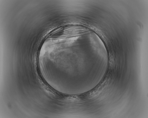 X0000111210386200907291256